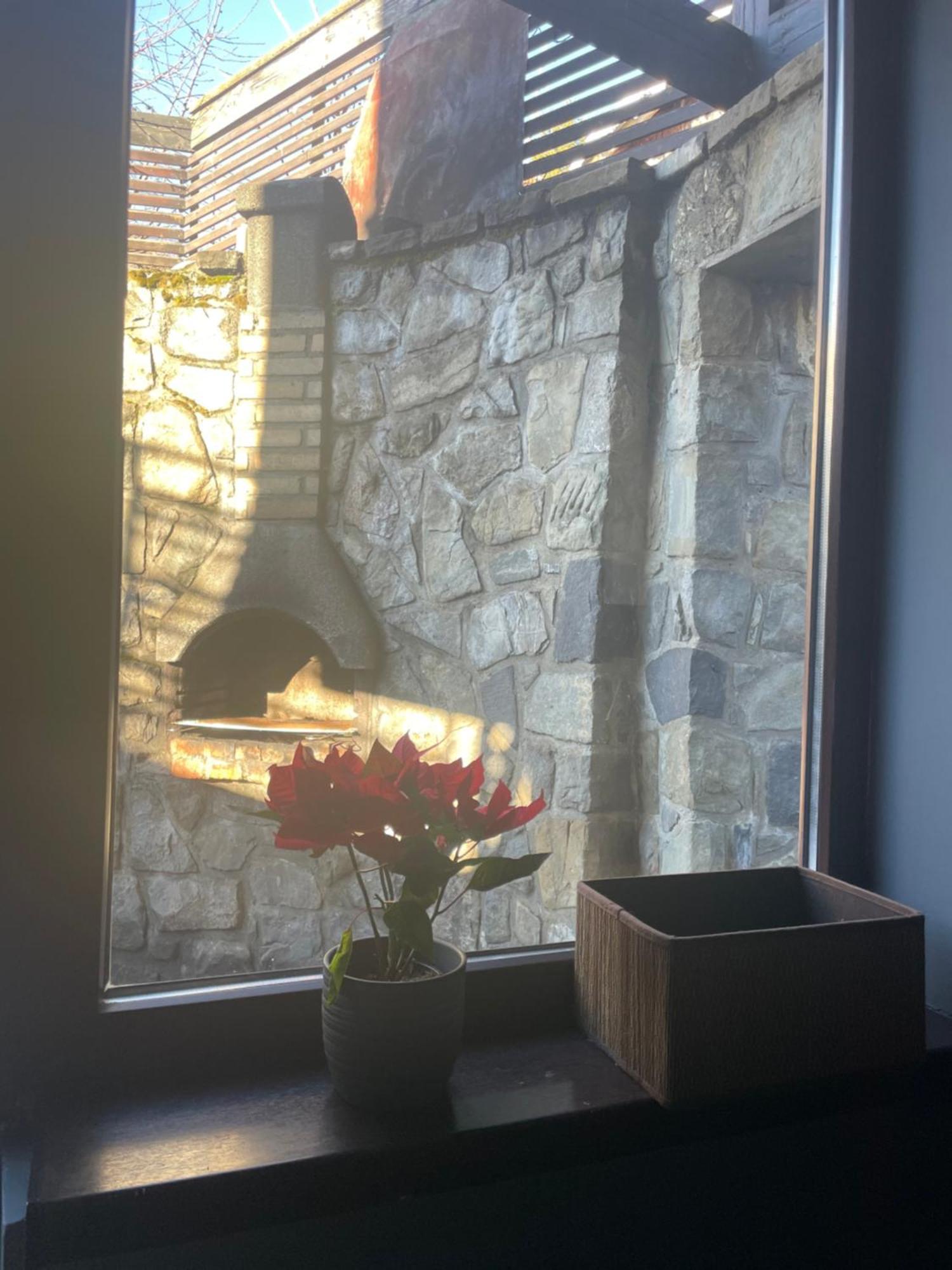 Casuta De Piatra Villa Buşteni Dış mekan fotoğraf