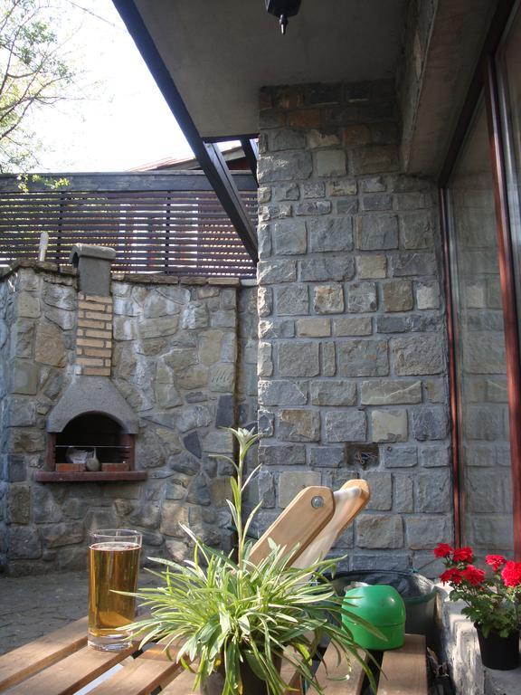 Casuta De Piatra Villa Buşteni Dış mekan fotoğraf